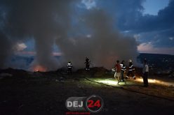 Weekend de FOC în județul Cluj! Pompierii au fost solicitați să stingă zeci de incendii de vegetație