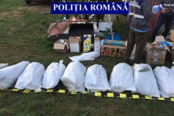 Trei ani de închisoare pentru traficanții din Unguraș prinși cu sute de kilograme de cannabis – FOTO